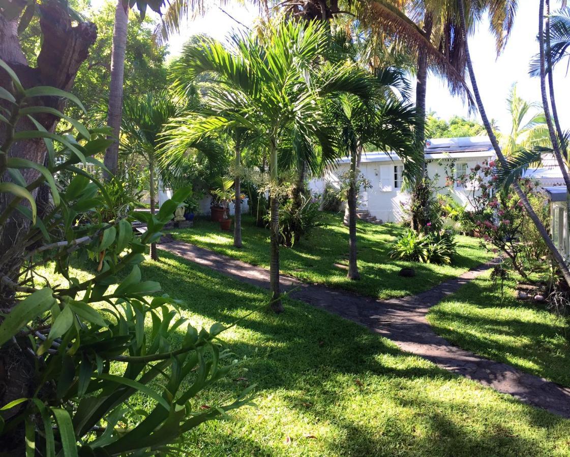 Studio Charmant Au Coeur De Boucan Canot 30 M² Avec Jardin Prive Saint-Paul Bagian luar foto