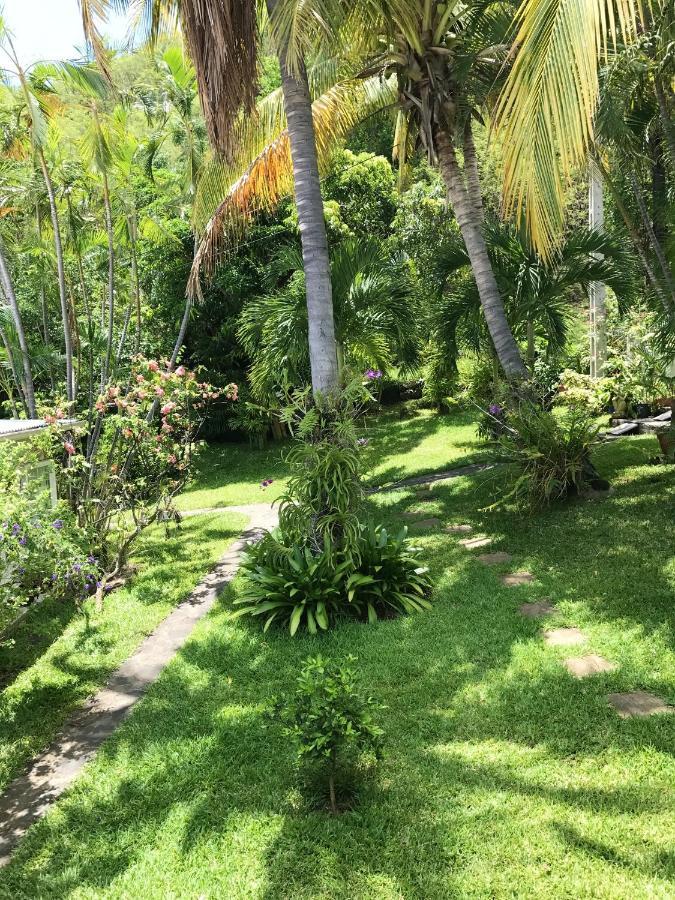 Studio Charmant Au Coeur De Boucan Canot 30 M² Avec Jardin Prive Saint-Paul Bagian luar foto